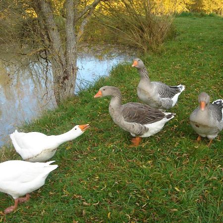 Bed and Breakfast Domaine De Varenne Saint-Amand-en-Puisaye Exterior foto