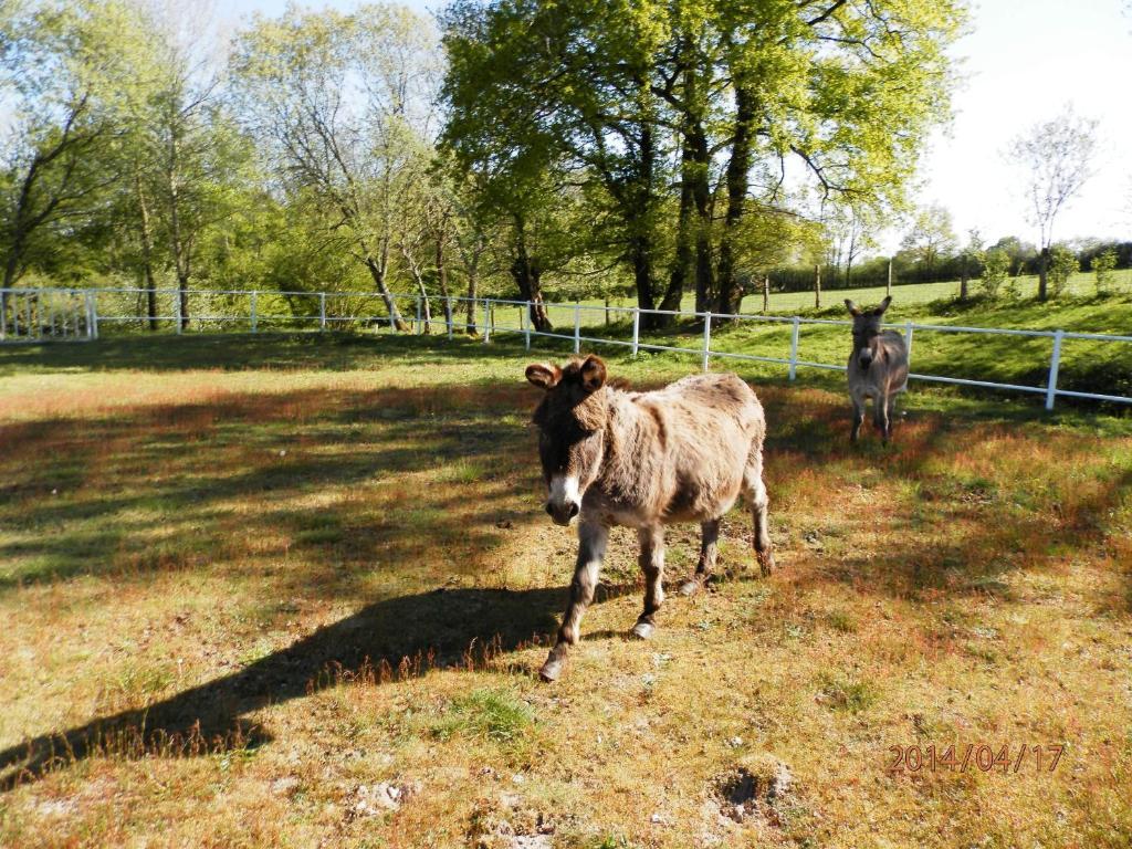 Bed and Breakfast Domaine De Varenne Saint-Amand-en-Puisaye Exterior foto