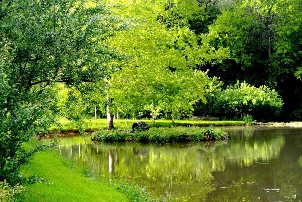 Bed and Breakfast Domaine De Varenne Saint-Amand-en-Puisaye Exterior foto